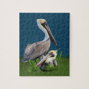 Pair of Brown Pelicans, Customizable Jigsaw Puzzle
