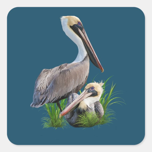 Pair of Brown Pelicans, Customizable Square Sticker (Front)