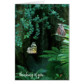 pair of butterflies in tropical garden (Front)