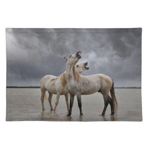 Pair of Camargue Horse Stallions Southern France Cloth Placemat