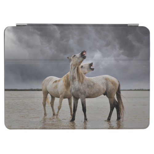 Pair of Camargue Horse Stallions Southern France iPad Air Cover