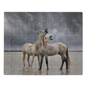 Pair of Camargue Horse Stallions, Southern France Jigsaw Puzzle