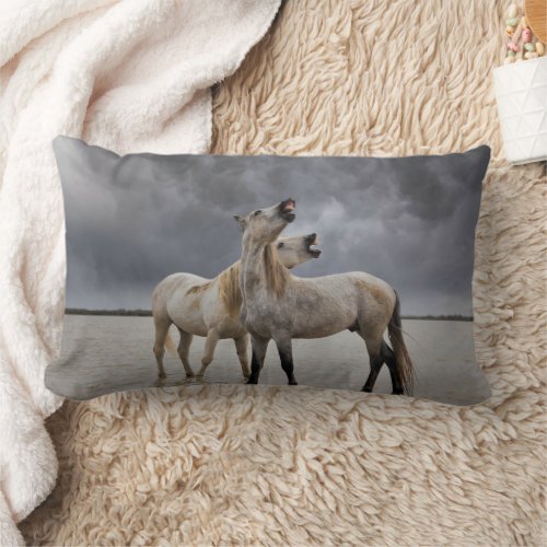 Pair of Camargue Horse Stallions Southern France Lumbar Pillow