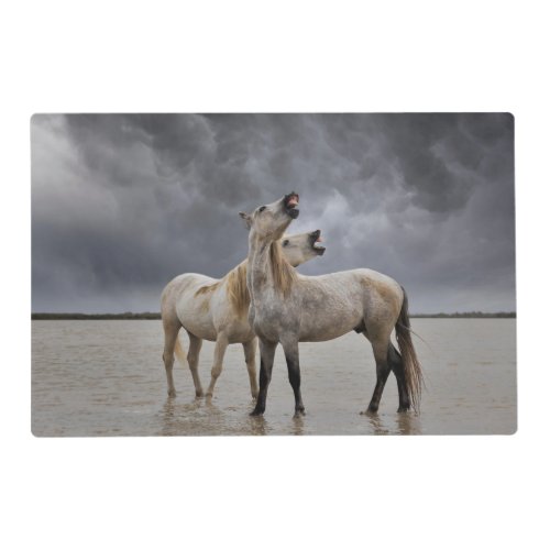 Pair of Camargue Horse Stallions Southern France Placemat
