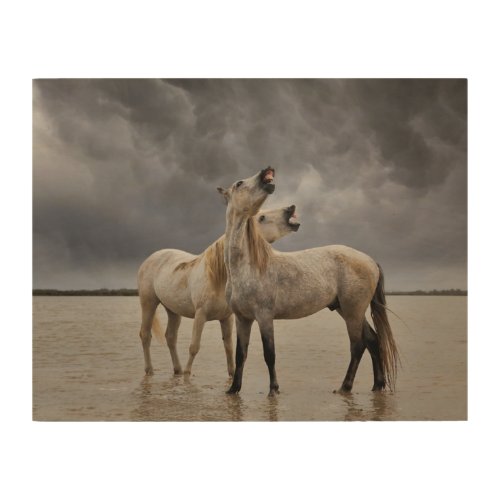 Pair of Camargue Horse Stallions Southern France Wood Wall Art