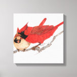 Pair Of Cardinals Canvas Print at Zazzle