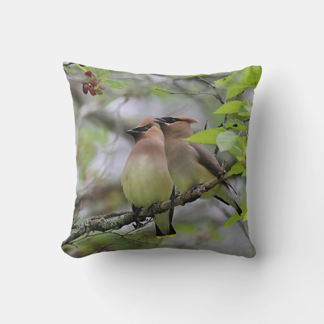 Pair of Cedar Waxwings Throw Pillow (Front)