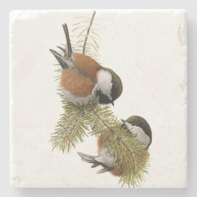Pair of Chestnut-backed Chickadee on Pine Tree Stone Coaster (Front)