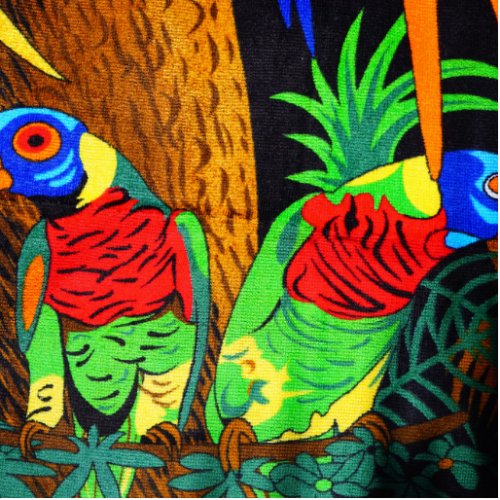 Pair of Colorful Parakeets Cutout