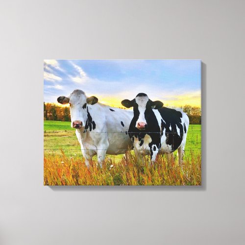 Pair of Cows in the Pasture Canvas Print