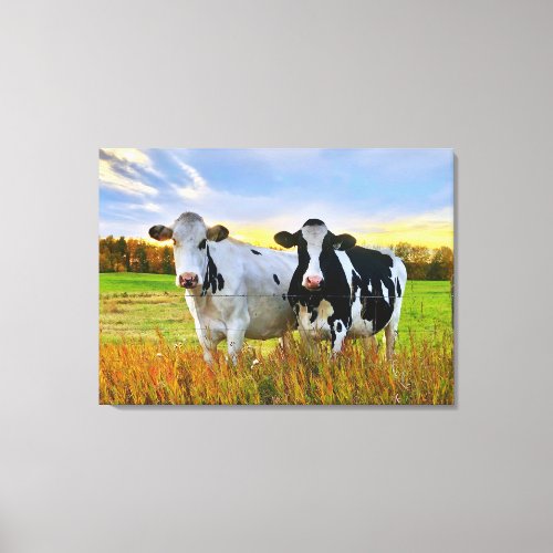 Pair of Cows in the Pasture Canvas Print