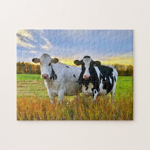 Pair of Cows in the Pasture Jigsaw Puzzle