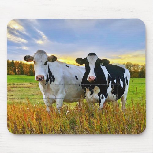 Pair of Cows in the Pasture Mouse Pad