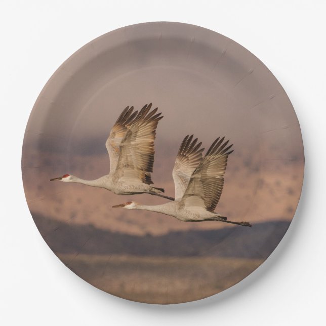 Pair of Cranes in the New Mexico Skies Paper Plates (Front)