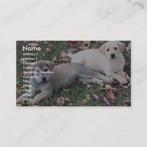 Pair Of Cute Puppies Laying On The Green Grass. Business Card