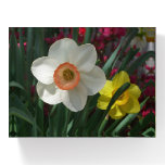 Pair of Daffodils Paperweight