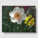 Pair of Daffodils Pink and Yellow Spring Flowers Guest Book