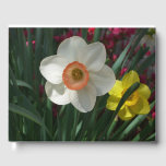 Pair of Daffodils Pink and Yellow Spring Flowers Guest Book