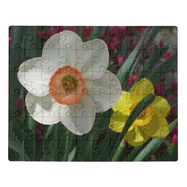 Pair of Daffodils Pink and Yellow Spring Flowers Jigsaw Puzzle (Puzzle Horizontal)