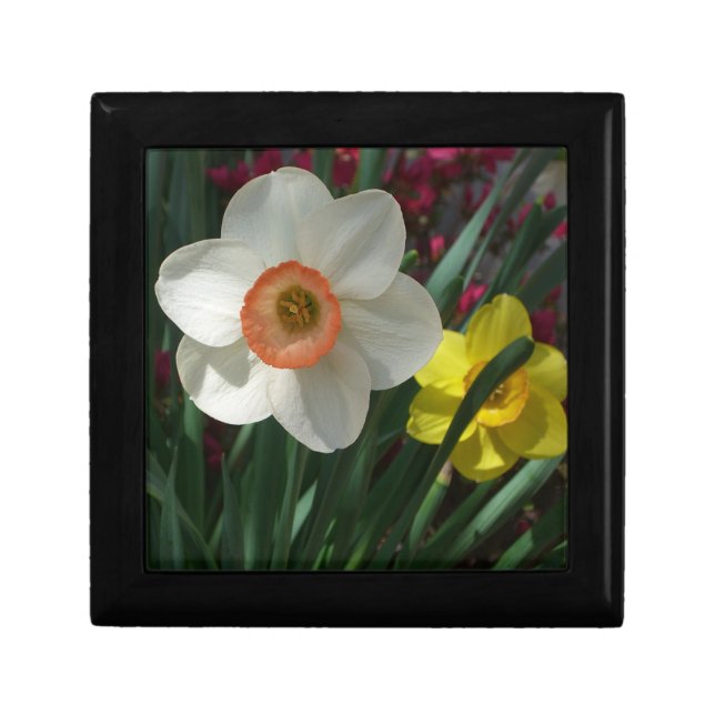 Pair of Daffodils Pink and Yellow Spring Flowers Keepsake Box (Front)