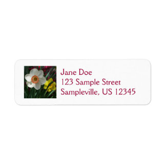 Pair of Daffodils Pink and Yellow Spring Flowers Label
