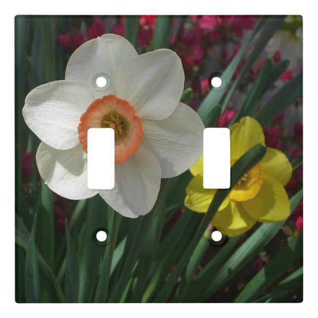 Pair of Daffodils Pink and Yellow Spring Flowers Light Switch Cover (Front)