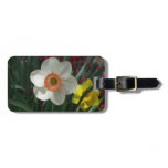 Pair of Daffodils Pink and Yellow Spring Flowers Luggage Tag