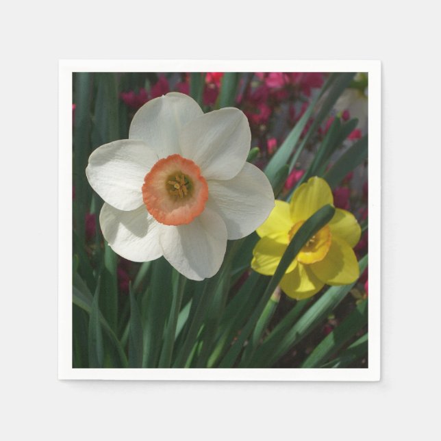Pair of Daffodils Pink and Yellow Spring Flowers Paper Napkins (Front)