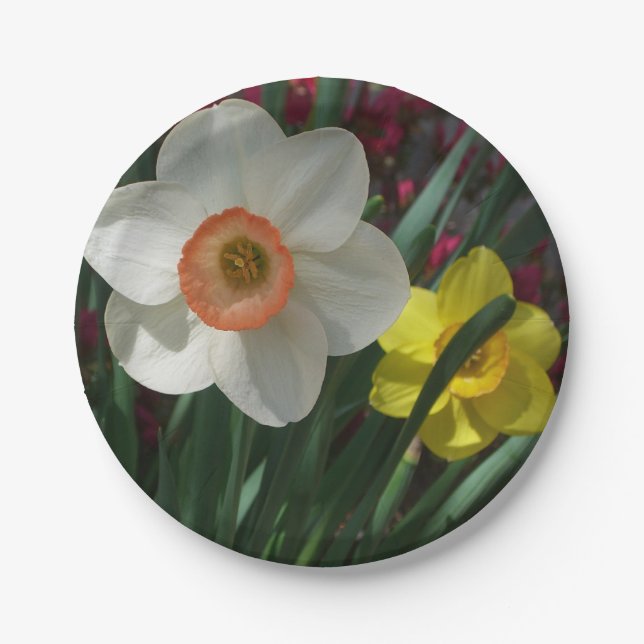 Pair of Daffodils Pink and Yellow Spring Flowers Paper Plates (Front)