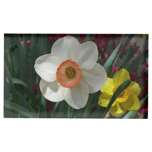Pair of Daffodils Pink and Yellow Spring Flowers Place Card Holder (Front)