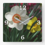 Pair of Daffodils Pink and Yellow Spring Flowers Square Wall Clock