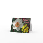Pair of Daffodils Pink and Yellow Spring Flowers Thank You Card
