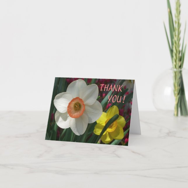 Pair of Daffodils Pink and Yellow Spring Flowers Thank You Card (Front)