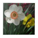 Pair of Daffodils Pink and Yellow Spring Flowers Tile