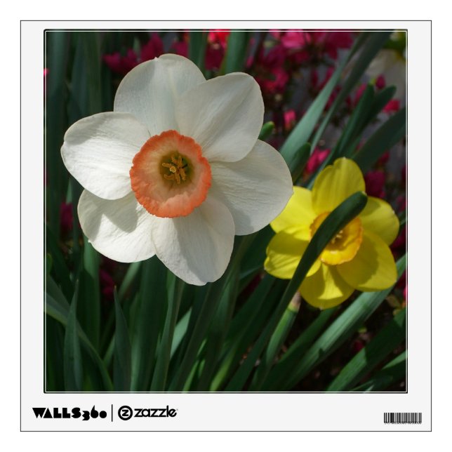 Pair of Daffodils Pink and Yellow Spring Flowers Wall Sticker (Front)