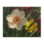 Pair of Daffodils Pink and Yellow Spring Flowers Wood Wall Decor