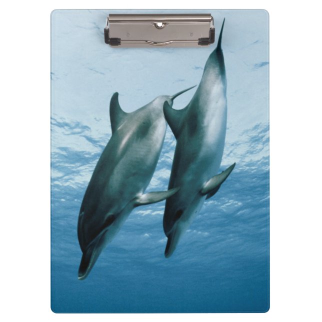 Pair of Dolphins Clipboard (Front)