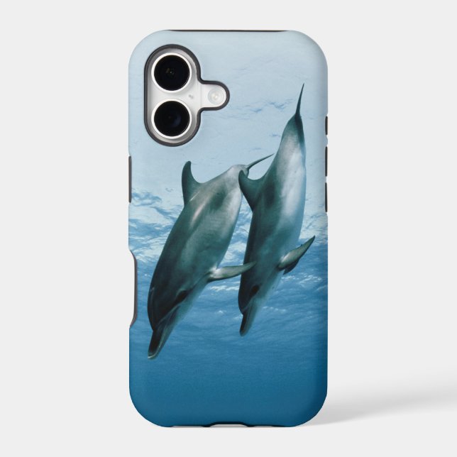 Pair of Dolphins Iphone Case (Back)