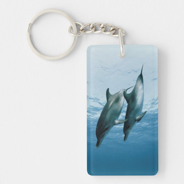 Pair of Dolphins Keychain (Front)