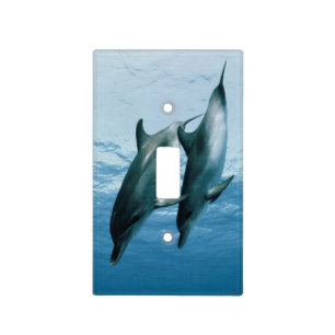 Pair of Dolphins Light Switch Cover