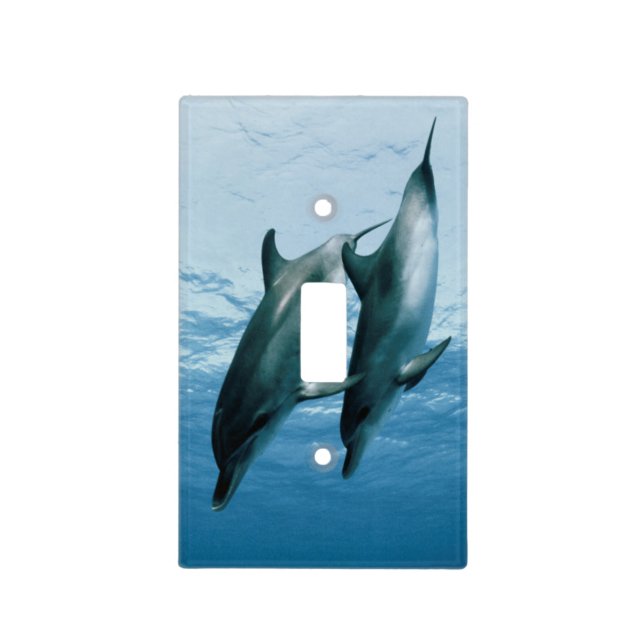 Pair of Dolphins Light Switch Cover (Front)