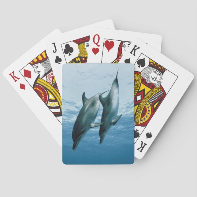 Pair of Dolphins Poker Cards (Back)