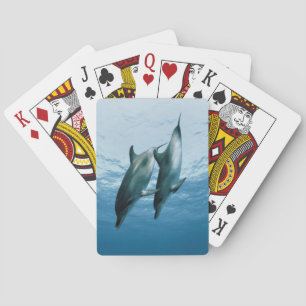 Pair of Dolphins Poker Cards