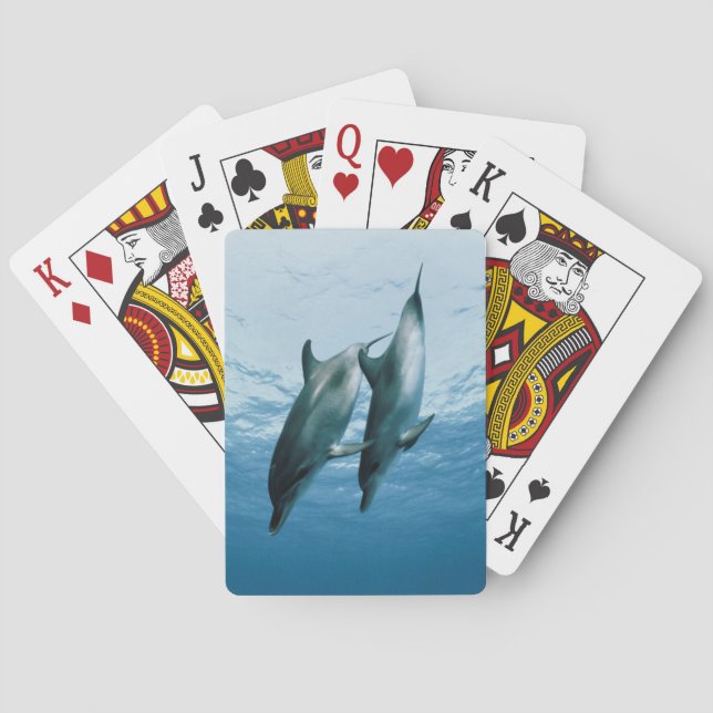 Pair of Dolphins Poker Cards (Back)