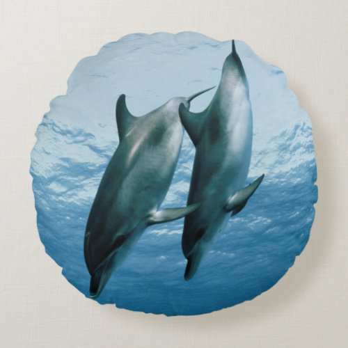 Pair of Dolphins Round Pillow