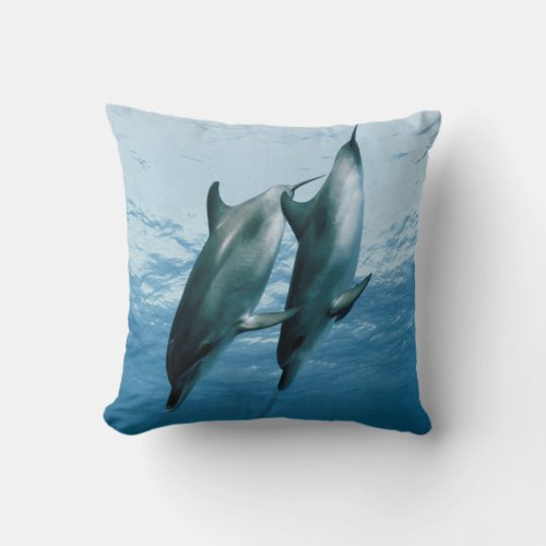 Pair of Dolphins Throw Pillow