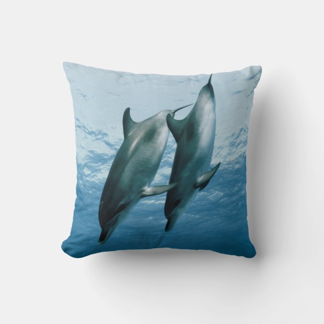 Pair of Dolphins Throw Pillow (Front)