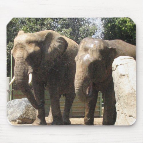 Pair of Elephants Mouse Pad