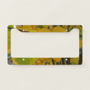 Pair of Fall Redbud Leaves Autumn Photography License Plate Frame