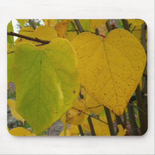 Pair of Fall Redbud Leaves Autumn Photography Mouse Pad
